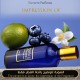 Attar Collection - Musk Kashmir for Unisex - A+ +