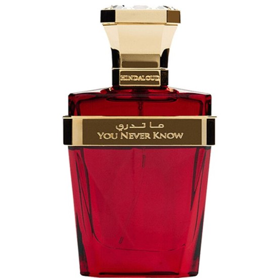 Hind Al Oud - You Never Know for Unisex A++