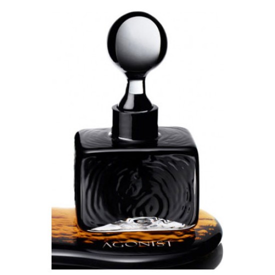 Agonist - Black Amber for Unisex by Agonist