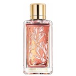 Magnolia Rosae for Women