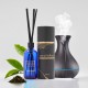 All Seasons Tea Diffuser Scent