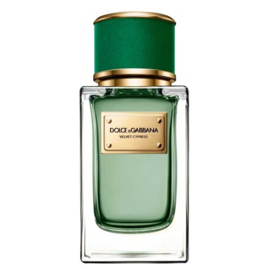 Dolce & Gabbana - Velvet Cypress for Unisex by Dolce & Gabbana