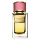 Dolce & Gabbana - Velvet Rose for Women by Dolce & Gabbana